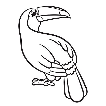 By best coloring pagesseptember 20th 2019. Toucan Bird Illustration Coloring Page Stock Illustration ...