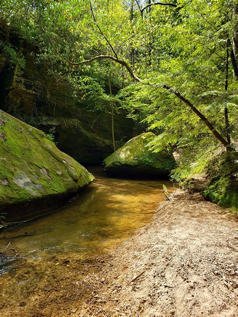 4k Free Download Alabama Adventure Calming Hiking Nature Outdoors