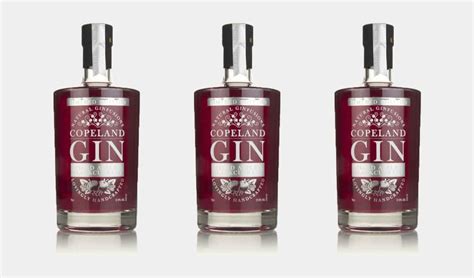 Blackcurrant Gin Guide How To Make It And Where To Find It