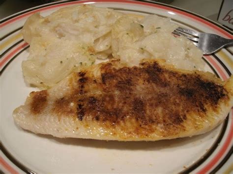 How To Cook Flounder On A George Foreman Grill Milehighgrillandinn
