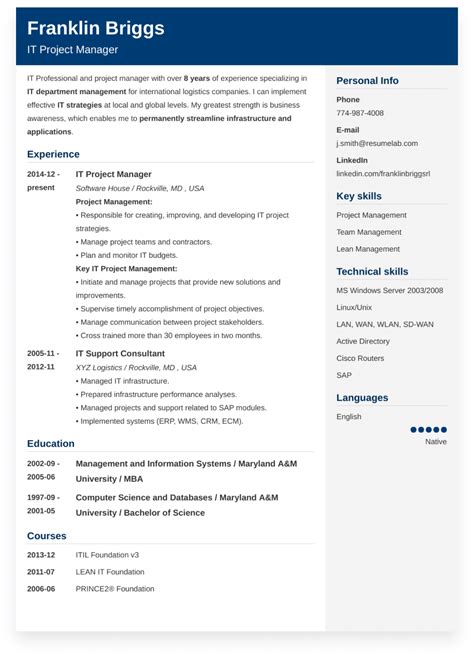 Sample Of Cv For Job Application Curriculum Vitae Cv Format Guide With Examples And Tips