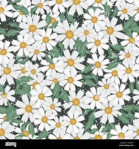 Chamomile floral seamless vector pattern background. Scattered groups