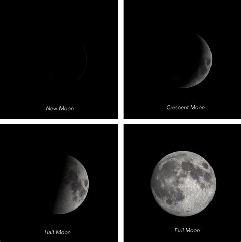 Phases Of The Moon Activity Sheet