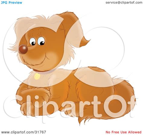 Clipart Illustration Of A Pleased Brown Puppy Dog Laying Down With Its