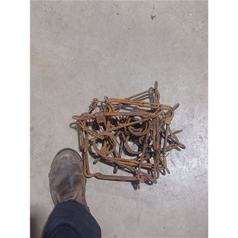 THREE CONIBEAR 220 BEAVER TRAPS