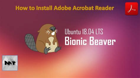 How To Install Adobe Acrobat Reader On Ubuntu YouTube