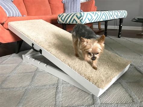 The dog travel accessories available from petbarn allow for you to attach your dog comfortably to the seatbelt or car seat in your car. How to Make an Adjustable Dog Ramp | DIY