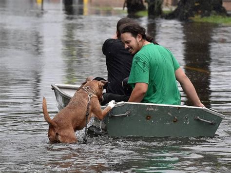 Looking for humane society spca adoptions or lost pet reports? Teamwork Makes a Difference | Alabama Public Radio