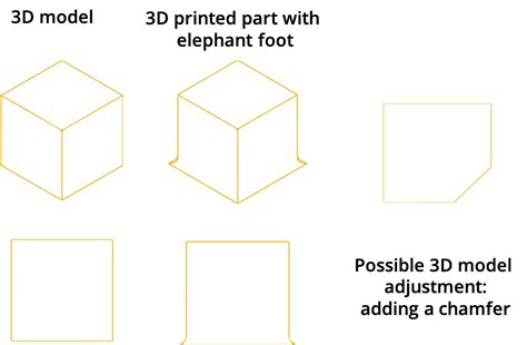 Pollen AM | First Layer