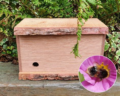 Bumble Bee Nest Box Green Gardener