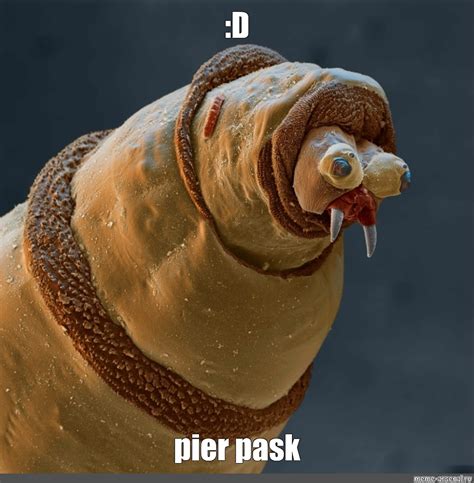 Create Meme The Worm Under The Microscope Pictures Meme Arsenal Com