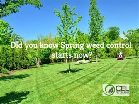 Yard maintenance and improvement services commercial and residential service at the cutting edge of delaware you'll find a team dedicated to providing outstanding lawn and landscaping services in delaware and parts of pennsylvania, new jersey and maryland. Spring Weed Control - Cutting Edge Landscaping