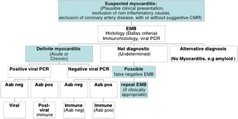 The estimated incidence varies from 3 to 6% and a diagnosis is made difficult by the fact that myocarditis often presents. Immune-mediated and autoimmune myocarditis: clinical ...