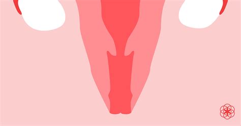 The Cervix What It Is And How To Find And Feel It