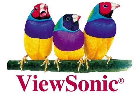 Viewsonic Logo Electronics
