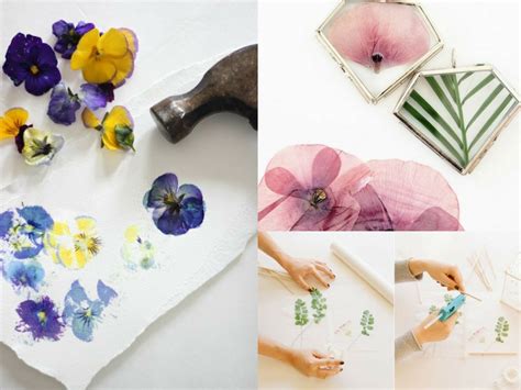11 Diy Pressed Flower Projects Perfect For Spring She Tried What