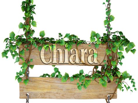 Esiste una santa nino, festeggiata il 14 gennaio, ma il suo nome non ha nulla a che vedere con questo (si veda nino (nome. Chiara: significato del nome e onomastico - A Tutto Donna