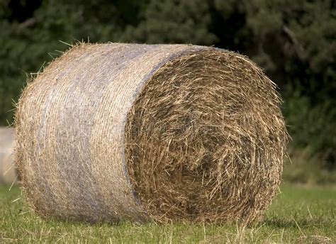 Hay Bale Stock Photo Image Of Rural Nature Country Food 167832