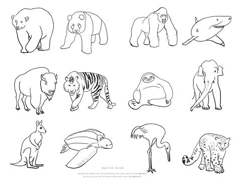 Endangered Animals Coloring Pages Coloring Pages