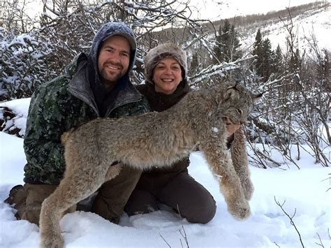 Bc Lynx Hunt Stone And Folding Mountain Outfitters