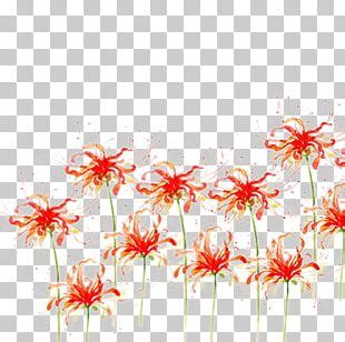 Red Spider Lily Tokyo Ghoul Flower Rat Png Clipart Botany Cartoon