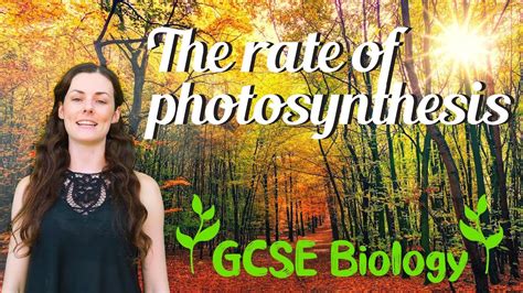 The Rate Of Photosynthesis Gcse Biology Youtube