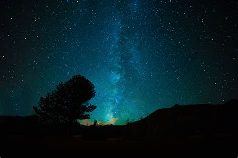 Free Images Tree Sky Night Star Milky Way