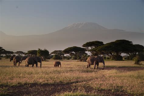 10 Best Tanzania Safari Tours 2024 Tourradar