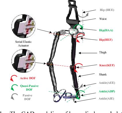 Figure 1 From Lower Limb Exoskeleton Hybrid Phase Control Based On