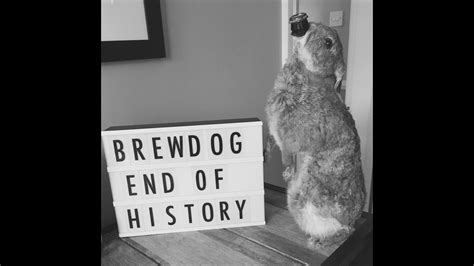 Video Beer Review Brewdog End Of History Youtube