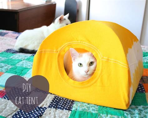 Diy Cat Toys Cat Toy Ideas For Your Feline Friend Bsb Cat Toys