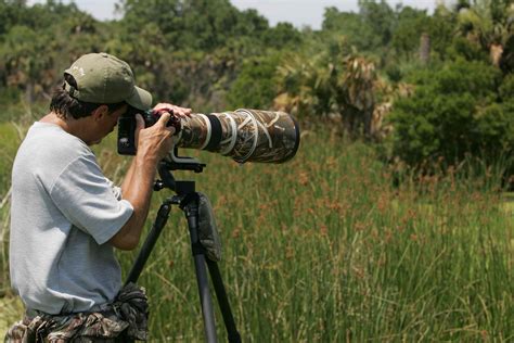 Free Picture Wildlife Photographer Captures Wildlife