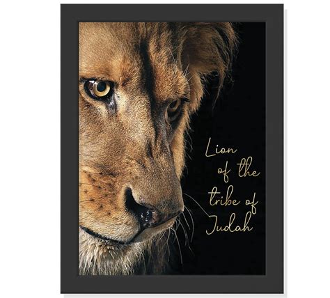 Quadro Leão Da Tribo De Juda Lion Of The Tribe Of Judah Elo7