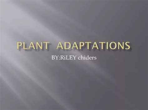Ppt Plant Adaptations Powerpoint Presentation Free Download Id2278472
