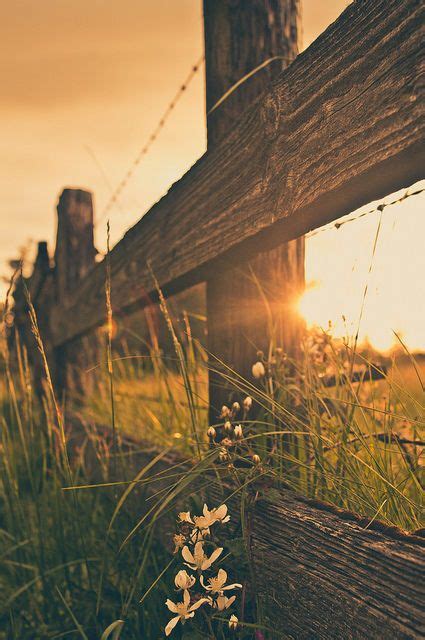 The inn's traditional cotswolds honey stone exterior and wooden beamed interiors have been given a new lease of life via eclectic wallpapers, bright textiles and smatterings. Country scenery | Country backgrounds, Nature photography ...