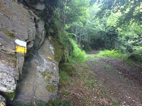 Ruta de los siete puentes desde Azarrulla-Ezcaray | Treckking Rioja