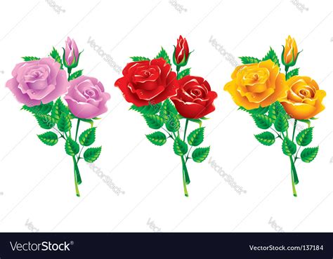 Set Of Bouquets Of Roses Royalty Free Vector Image