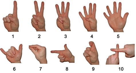 Chinese Finger Counting System Download Scientific Diagram