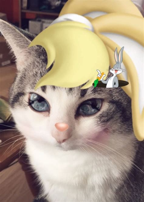 This is snapchat bug by ugur afacan on vimeo, the home for high quality videos and the people who love them. Loves Bugs Bunny Lester Snapchat | Love bugs, Bugs bunny ...