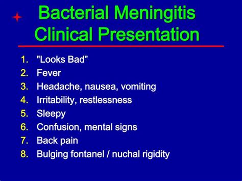 Ppt Bacterial Meningitis A Medical Emergency