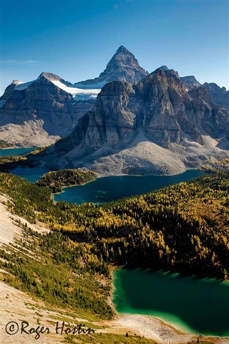 Mount Assiniboine And Magog Sunburst Cerulean And Elizabeth Lakes