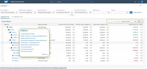 Using Fiori Apps Project Cost Overview And Project Cost Line Items For