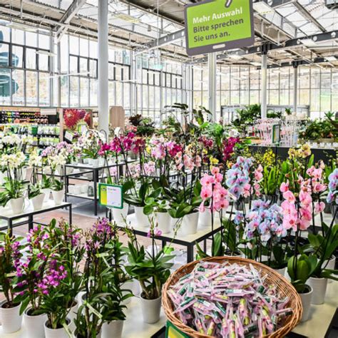 Katalog garten & freizeit 2021. Dehner eröffnet neuen Standort in Göppingen | stores+shops