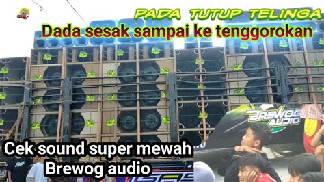 Proses Ke Sawah Tempat Cek Sound Brewog Audio Penuh Tantangan Dan Suara