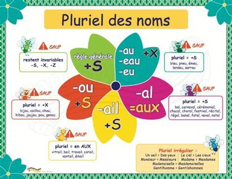 Pluriel Des Noms Artofit