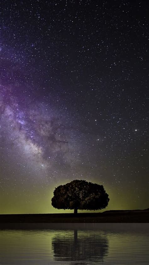 Starry Sky Milky Way Tree Wallpaper 1080x1920