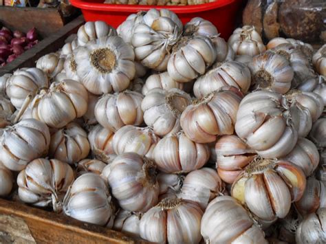 Bawang Putih Bukan Sekadar Bumbu Banyak Manfaatnya Untuk Kesehatan