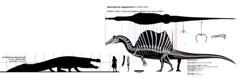 Purussaurus is the second largest known of the giant crocodilians, perhaps probably even surpassing sarcosuchus in size. Purussaurus brasiliensis vs. Spinosaurus aegyptiacus | The ...