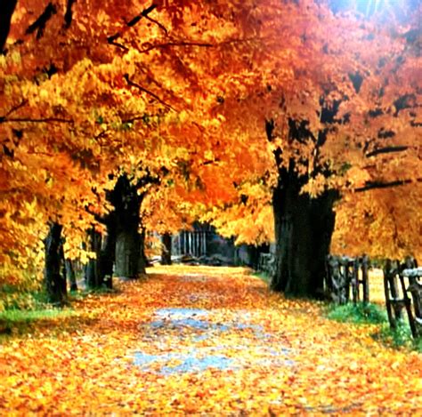 Beautiful Autumn Day Autumn Landscape Landscape Background