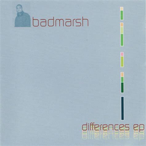 differences album by badmarsh and shri spotify